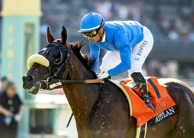 Mandella says Atitlan could thrive in Breeders' Cup Turf