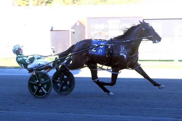 Bacchus Blue Chip 10-19-26
