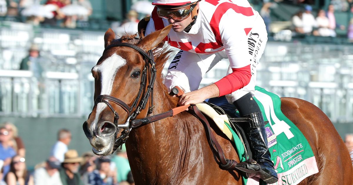 Fully Subscribed takes three-horse Spinster in BC Distaff preview