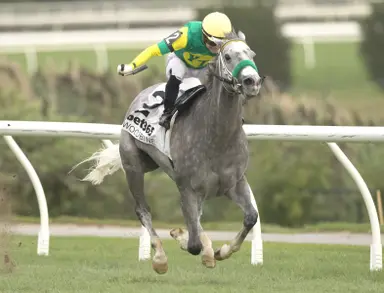 Little Teddy back to winning ways with repeat score in Zadracarta