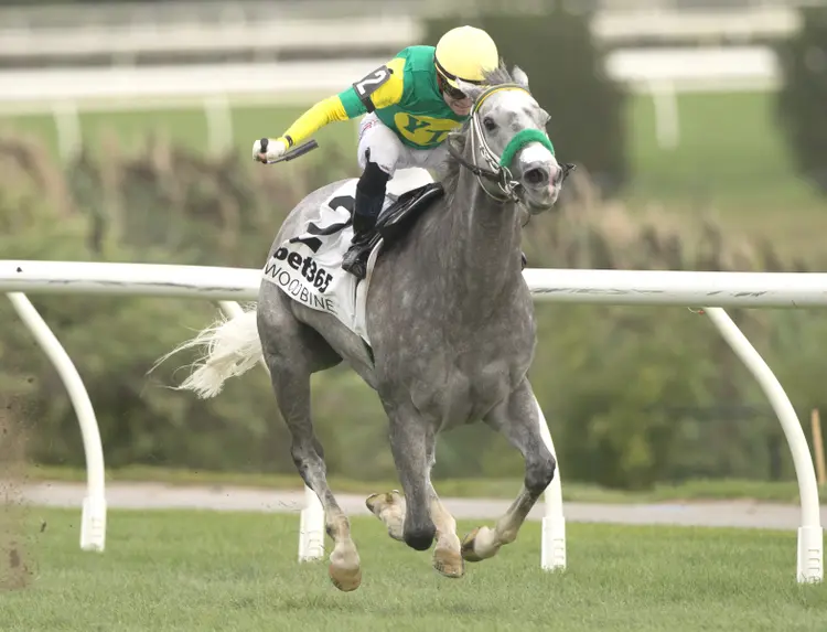 Little Teddy wins Zadracarta at WO Aug 29 2026