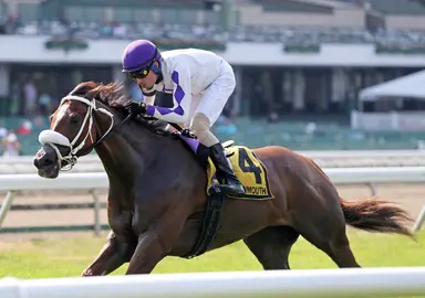 Gerrards Cross shows the way in Monmouth County Stakes