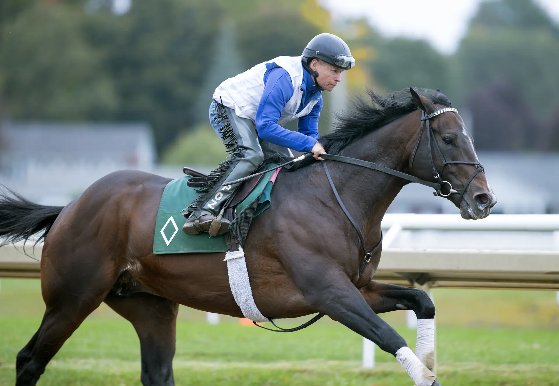 Breeders' Cup Classic: Sovereignty works five furlongs at Saratoga