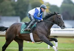 Breeders' Cup Classic: Sovereignty works five furlongs at Saratoga