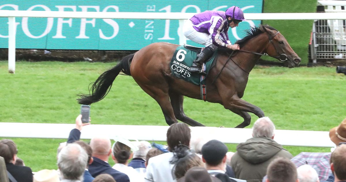 Sun Goddess could be using Moyglare Stud as Breeders' Cup prep