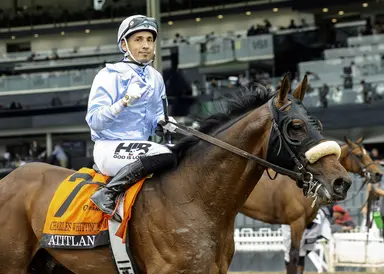 Mandella makes plans for new turf stakes horses
