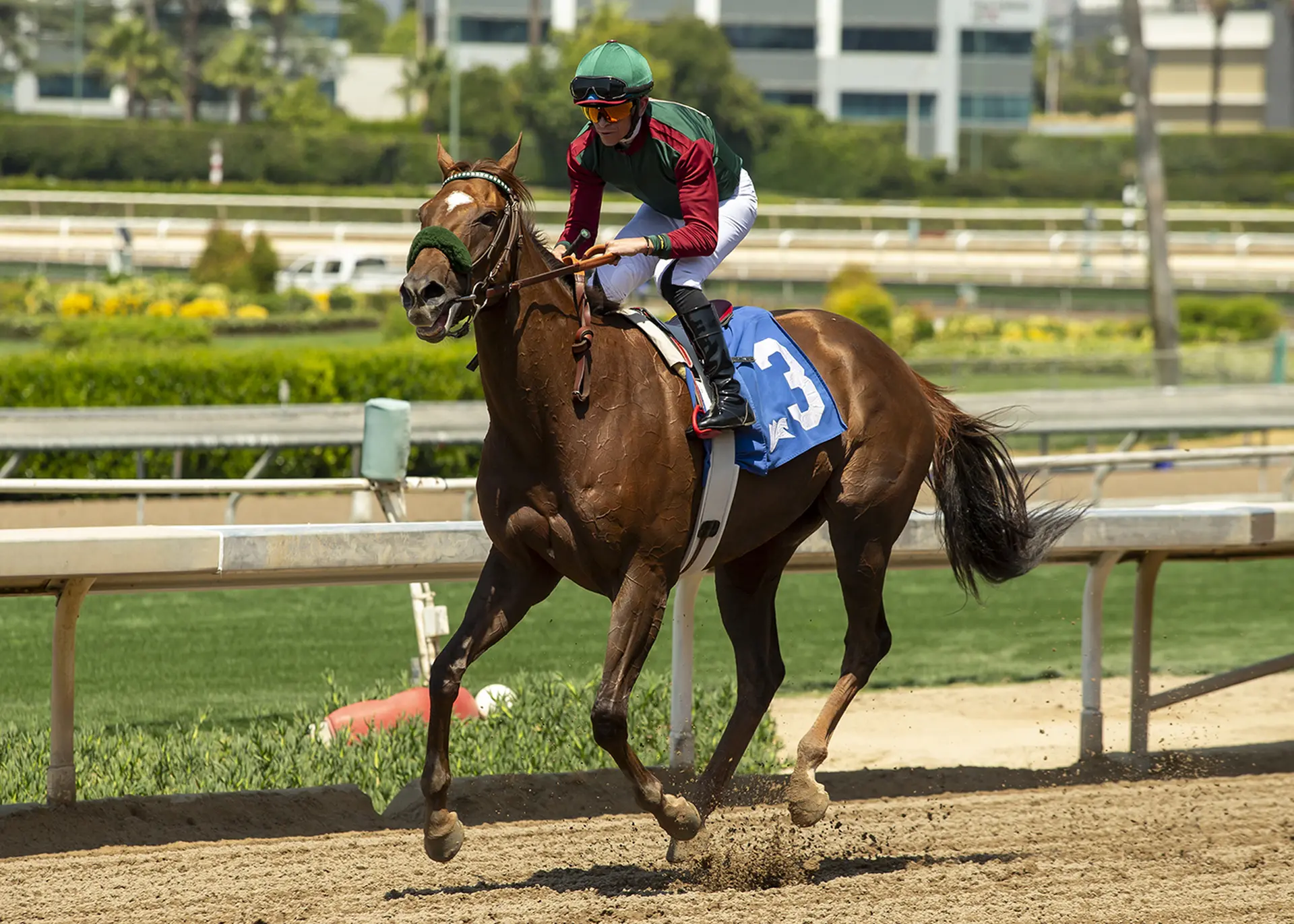 Bags loaded for Grand Slam Smile in California Distaff