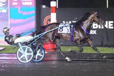 Woodbine Mohawk Park:  Beau Jangles blitzes rivals, improves to 15-for-15