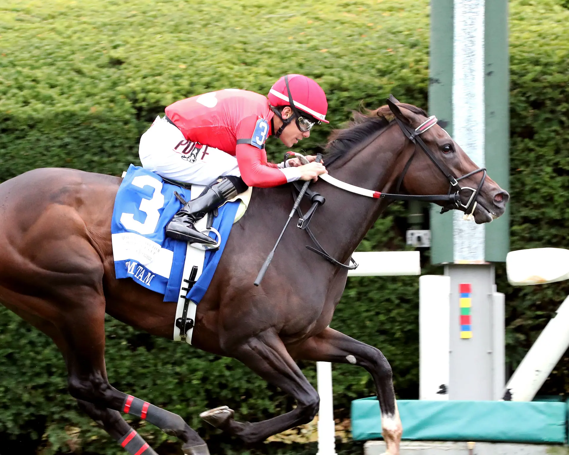 QE II winner Tam Tam could go to American Oaks, with a divisional title in her sights