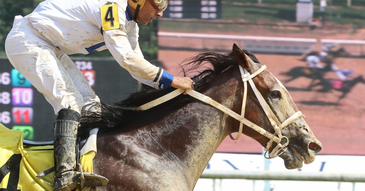 I Feel Lucky wins Hickory Tree; Cyber Spy takes Keswick Stakes