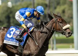 Domain Expansion ($31) gains BC Juvenile Fillies spot with solid Oak Leaf performance