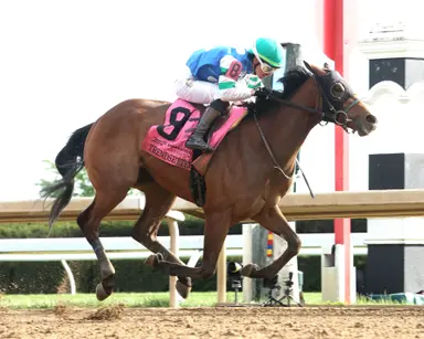 Trendsetter gets class relief in Super Derby