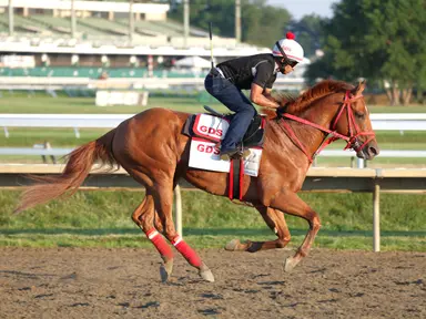Weekend GamePlan: Picks for Haskell, Diana, San Clemente