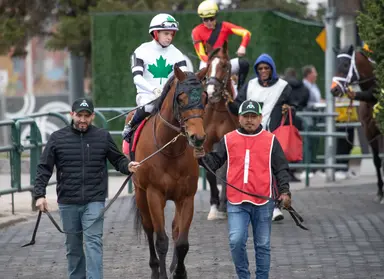 Back on turf, Rapid Test should be formidable