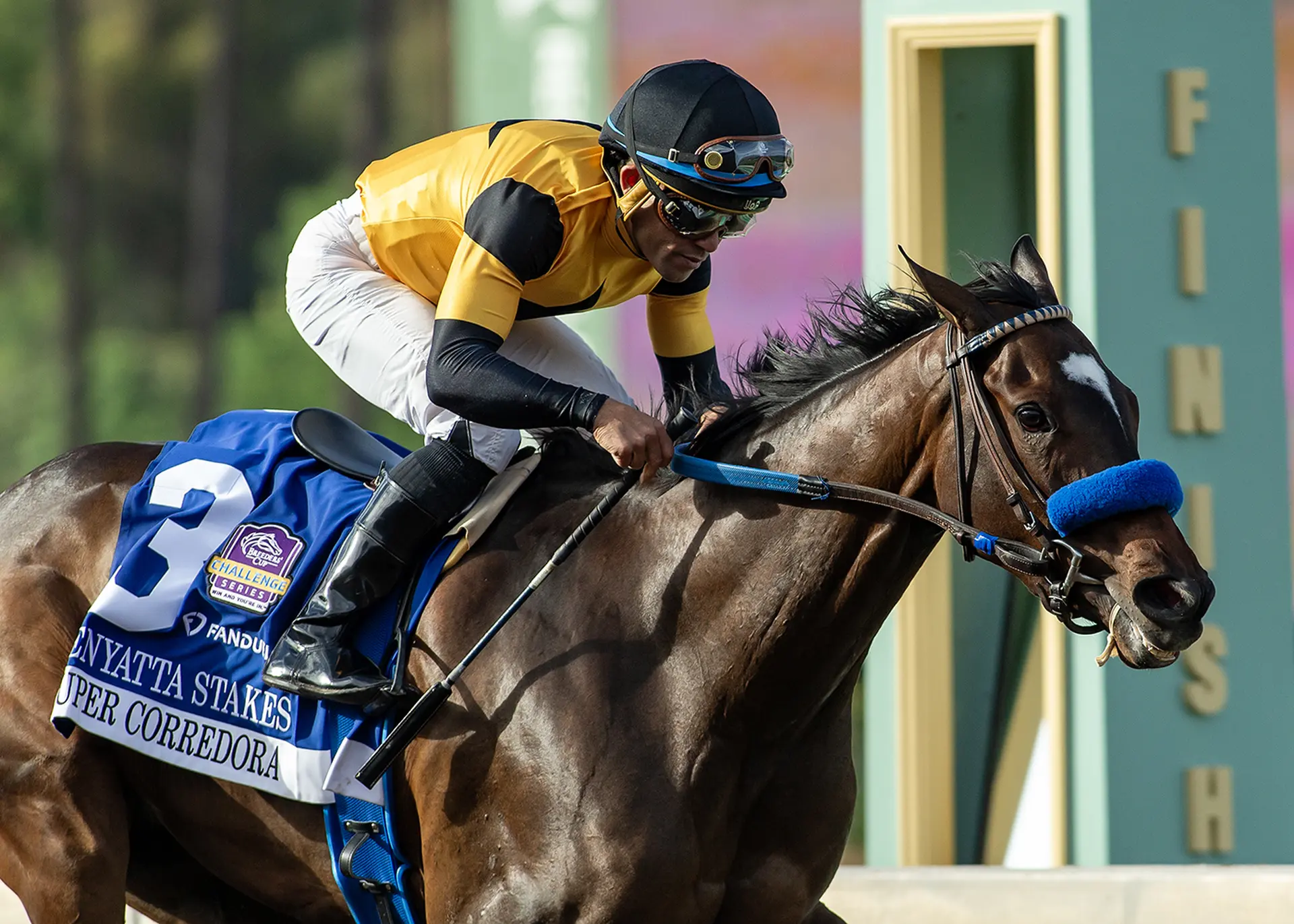 Super Corredora gains Breeders' Cup Distaff berth with Zenyatta triumph