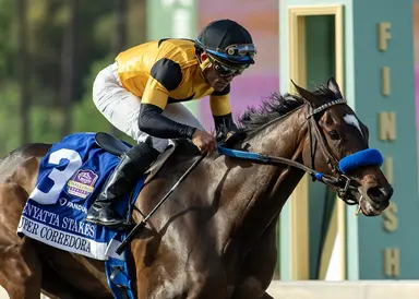 Super Corredora gains Breeders' Cup Distaff berth with Zenyatta triumph