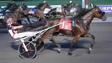 Meadowlands: Owners pumped about Kindergarten starter Perfect Body