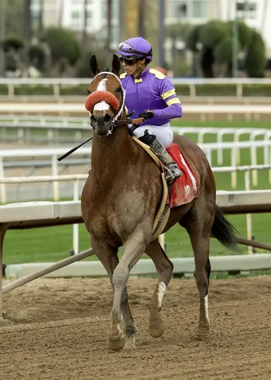 Man O Rose hopes for less eventful run seeking E.B. Johnston three-peat