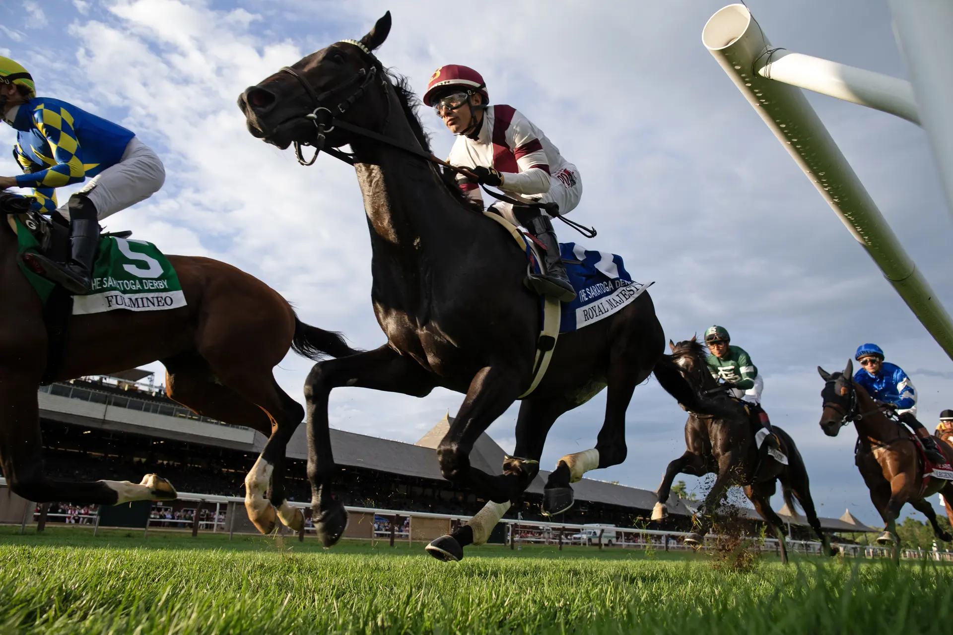 Royal Majesty fit for crown in turf feature