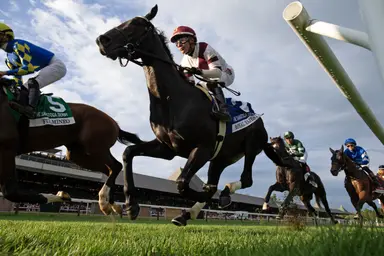 Royal Majesty fit for crown in turf feature