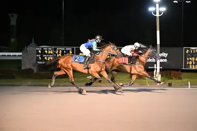 Harness: Stark providing a second life for retired Standardbreds