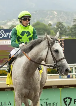 Ayuso suspended seven days; Fresu to appeal three-day penalty
