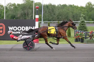 Pocono: Sun Stakes Saturday lures sport's top pacers and trotters