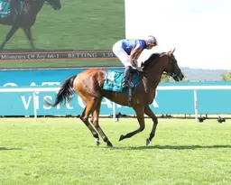 Breeders' Cup Filly and Mare Turf: Two candidates will run in Arc Sunday