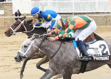 Winterfell wins Polynesian Stakes at Laurel