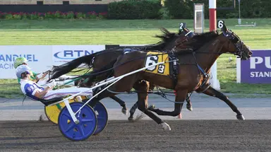 Meadowlands:  New Jersey Sire Stakes races continue for 2YOs