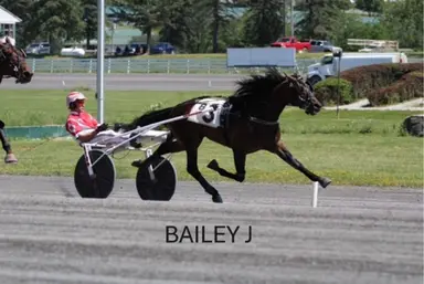 Monticello:  NYSS winner Bailey J smashes track record in career debut