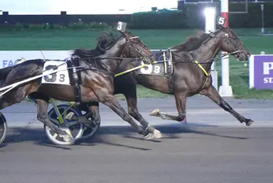 Plainridge Park: Burke is high on Antognoni S and “Kody” in the Spirit of Massachusetts Trot