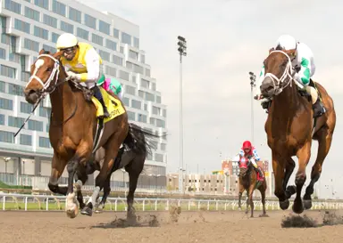 Dixie Law, Bold Time square off in Selene