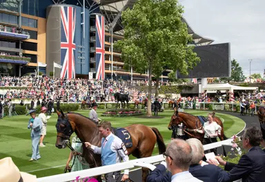 Royal Ascot 2026: Tips for Saturday, June 20
