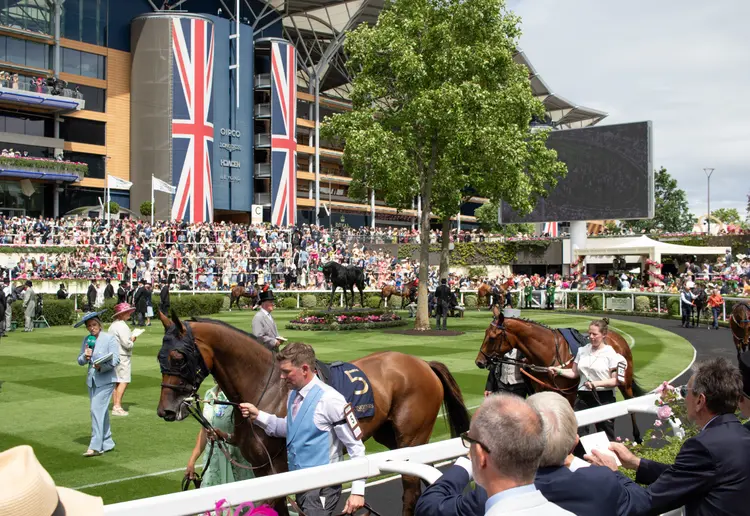 Royal Ascot scenic03.06-17-26.JUW