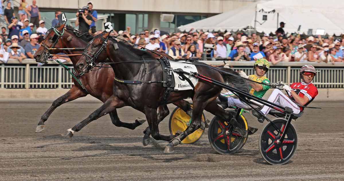 Red Mile: Field set for 134th Kentucky Futurity