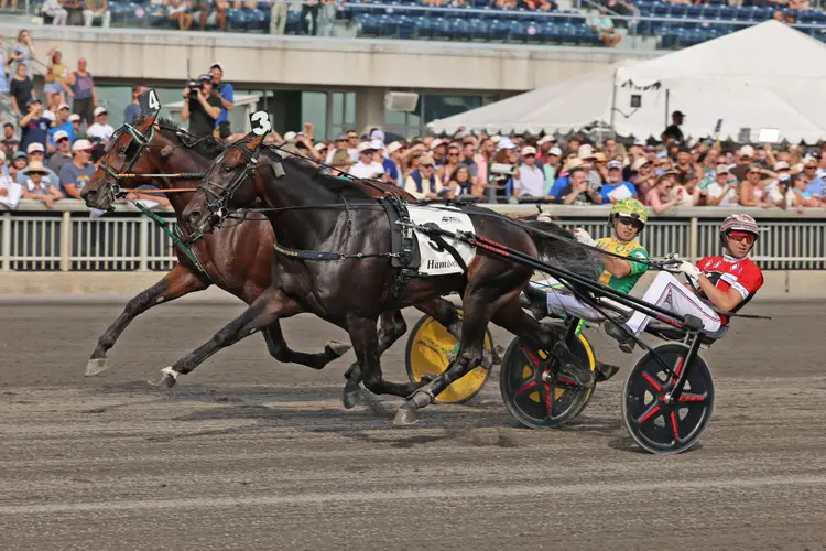 HR-11-HAMBO-Apex-Big Ranger-DRIVERS-ChrisTully_PHOTO