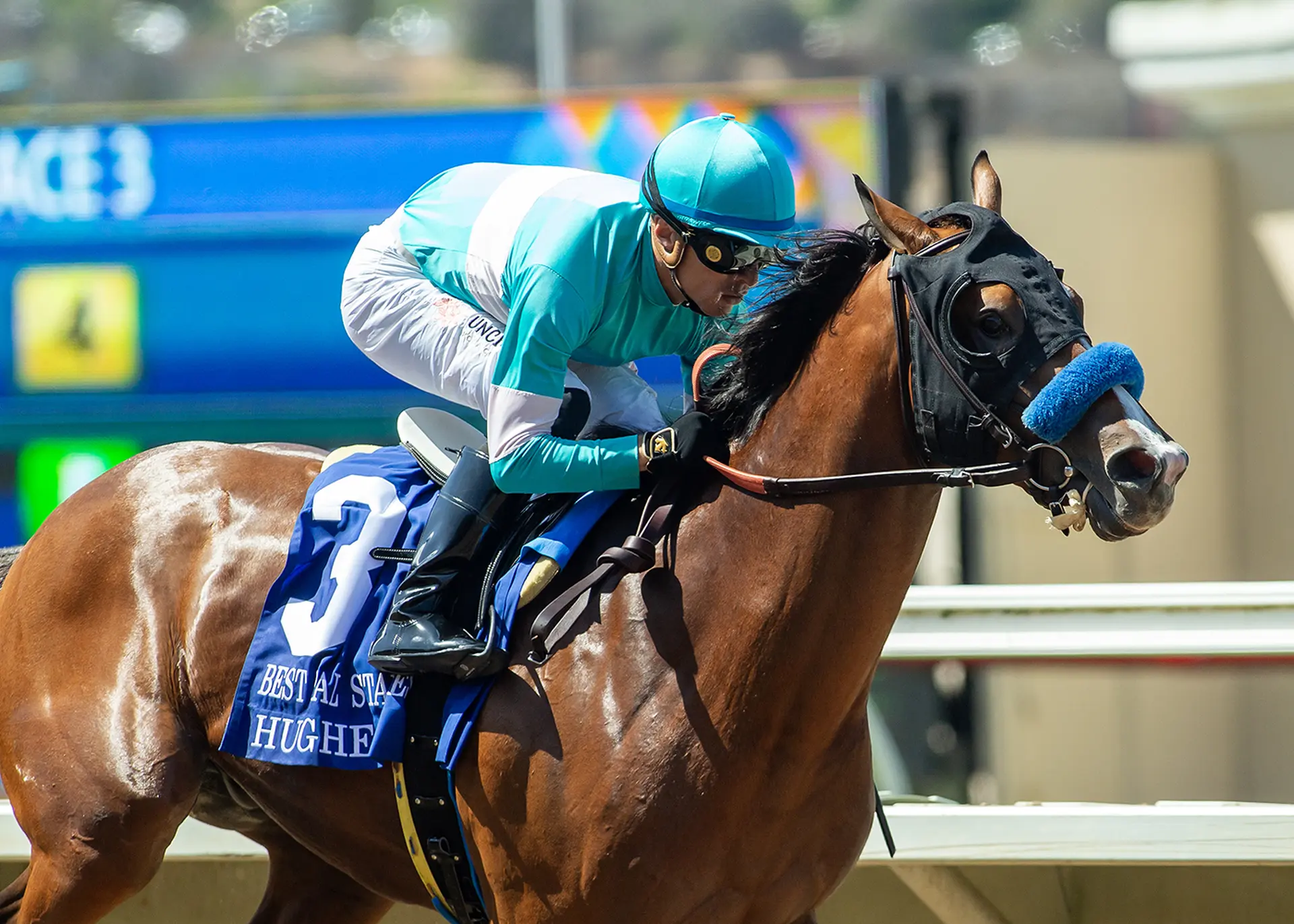 Hughes romps over Phone Booth as Baffert continues to rule Best Pal