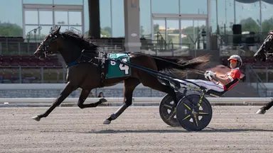 The Meadows:  Captain Corey fillies capture Pennsylvania Sire Stakes events