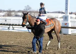 Passage East retired after sesamoid fracture; will enter auction as broodmare prospect