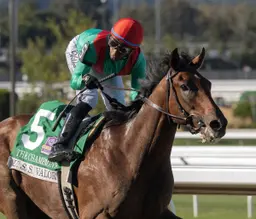 U. S. S. Valor makes statement with impressive Champagne victory