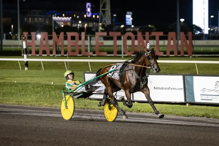 Big Ranger_8-1-26_Hambletonian Elim_Walter Wlodarczyk_WWRB3558