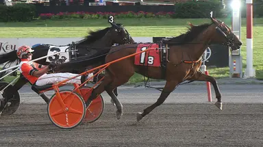 Meadowlands:  New Jersey Sire Stakes prelims conclude