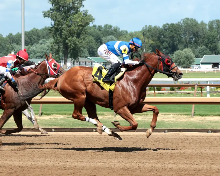 BANISHING - The Jeff Hall Memorial - 07-18-26 - R08 - Ellis Park - Finish 01 - Renee Torbit