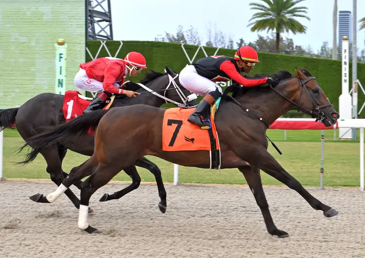 Raydar Control wins at GP May 30 2026