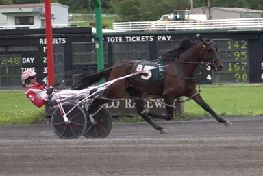 Monticello:  Fragment dominates in New York Sire Stakes