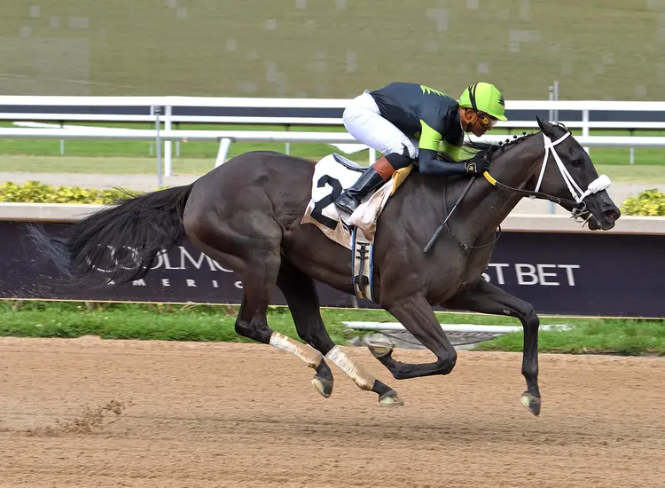 Indy Bay wins at GP May 24 2026