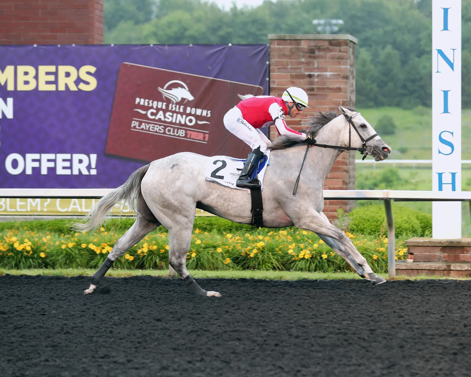 Smooch Up romps in Malvern Rose Stakes