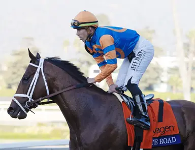 Pletcher makes decisions for cross-entered 3-year-olds