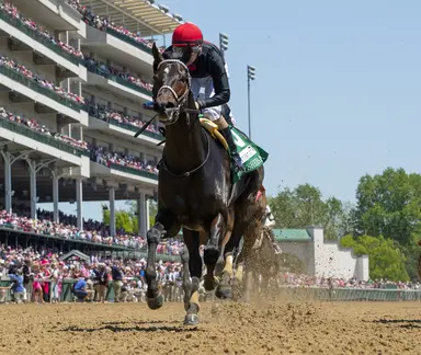 Weekend GamePlan: Picks for Highlander, Selene, Stephen Foster